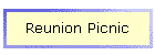 Reunion Picnic