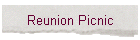 Reunion Picnic