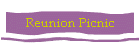 Reunion Picnic