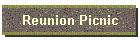 Reunion Picnic