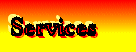 Services We Provide