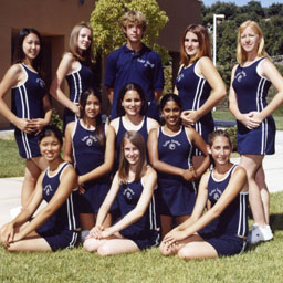 Team