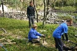 Rossdalen03