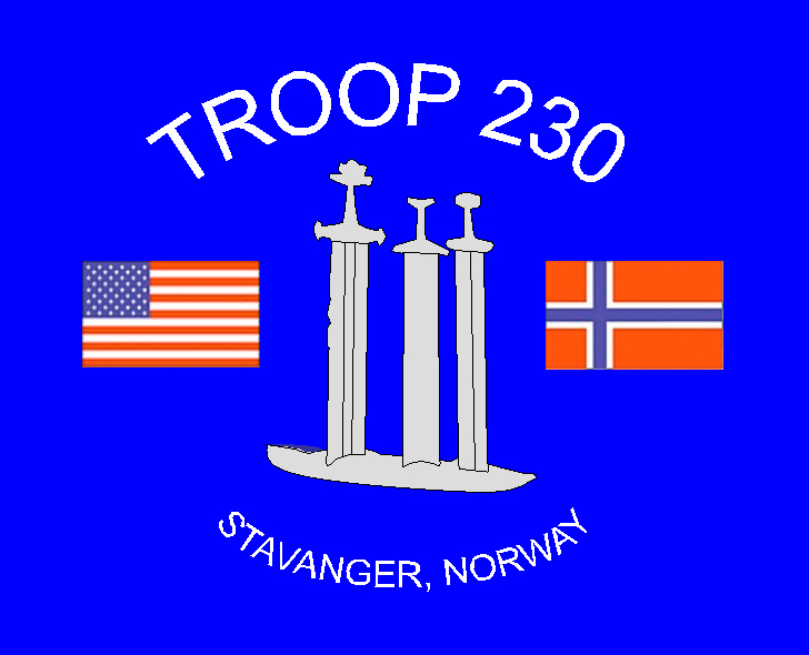 Troop 230 Logo