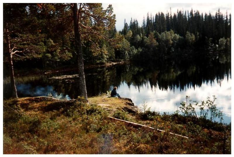 Sommerkveld ved et skogstjern i Tr�ndelag