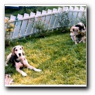 Mine to gode venner..Giro og Rapp..Klikk for stort bilde