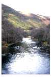 Upper Towy Valley