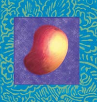 CD Cover Art: No Small Mango