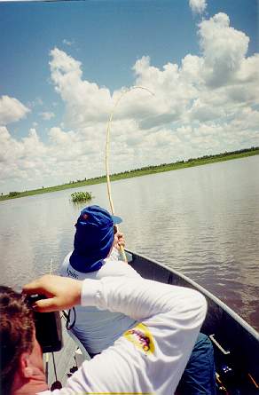 Bodoque do Varej�o com a pegada de um Pac�