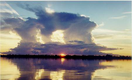 Vis�o di�ria do Mato Grosso