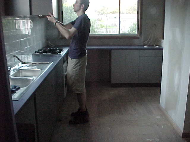 kitchen and back window
