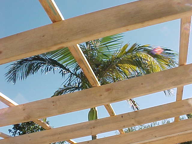 close-up of the rafters