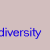 Diversity courtesy of Amara