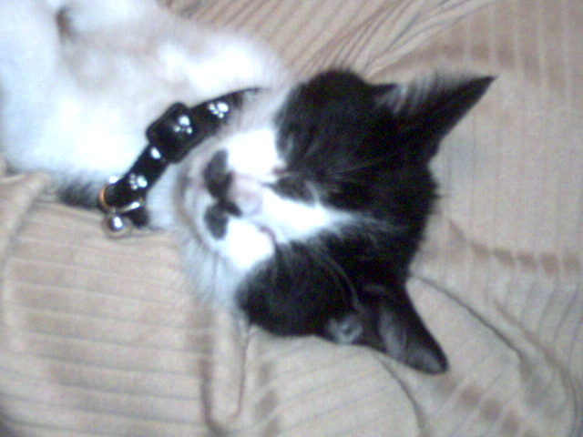 Yawn:)
