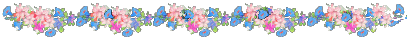 barra10c.gif (7871 bytes)