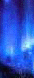 msg1