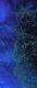 msg13