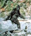 Bigfoot