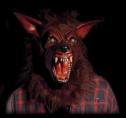 Werewolf
