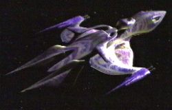 White Star