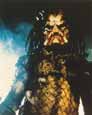 The Predator (Kevin Peter Hall)