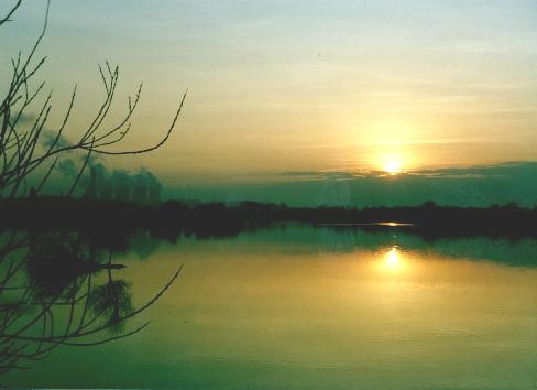 From Attenborough on path near Ireton House. -  January 1988