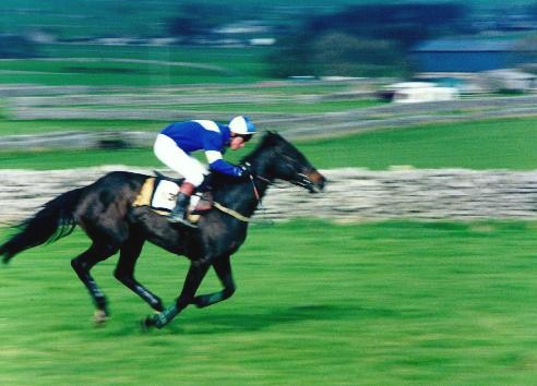 Flagg Derbys