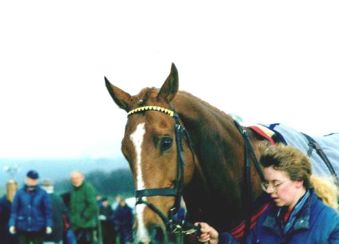Flagg Derbys
