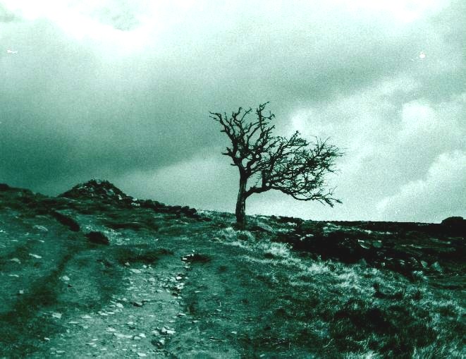 Derbyshire near Ladybower reservoir