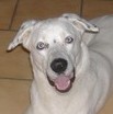 Bandit2