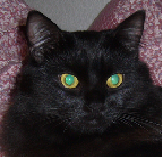 Ramses