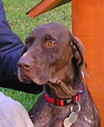 Ugo
