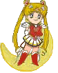 Usagi Pictures