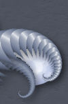 Visit the members of Rubylyre.