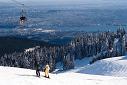 Whistler 2001
