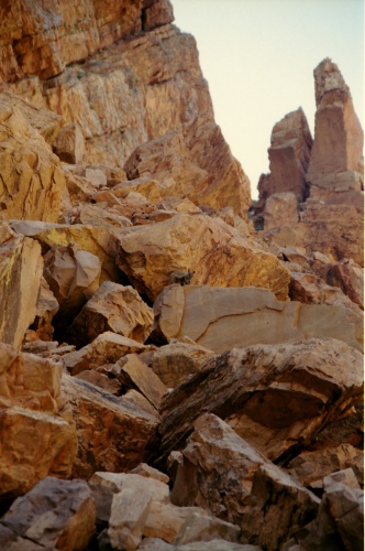 AU117-15r.jpg