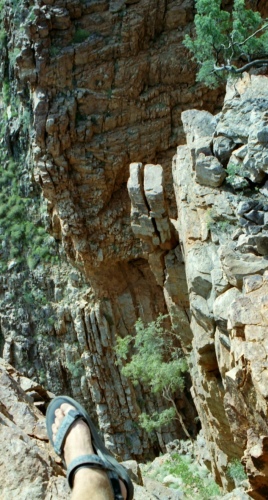 AU117-31r.jpg