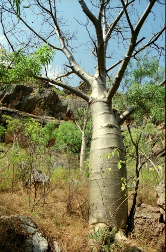 AU106-04r.jpg