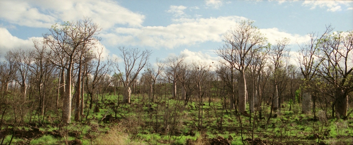 AU106-31pan.jpg
