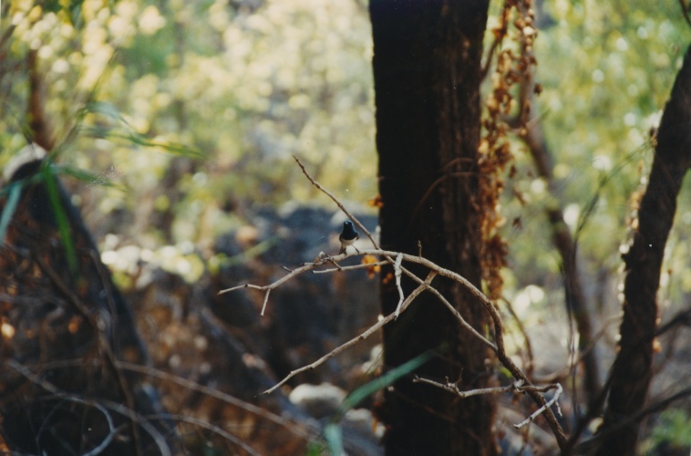 AU108-0012.jpg