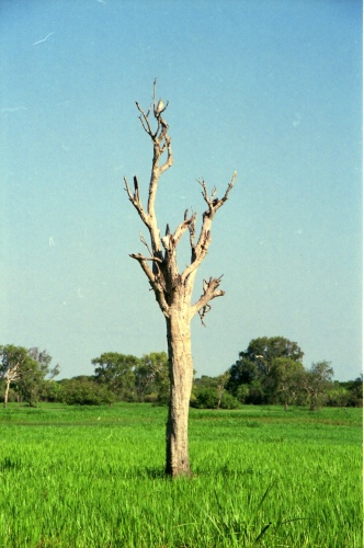 AU108-11r.jpg