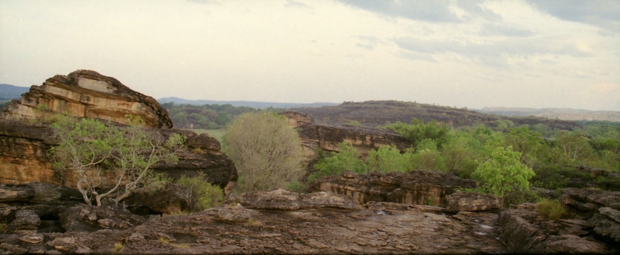 AU110-18pan.jpg