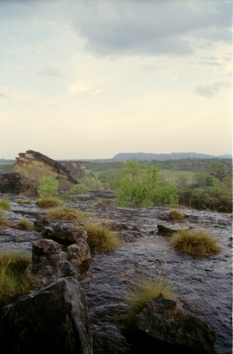 AU110-20r.jpg