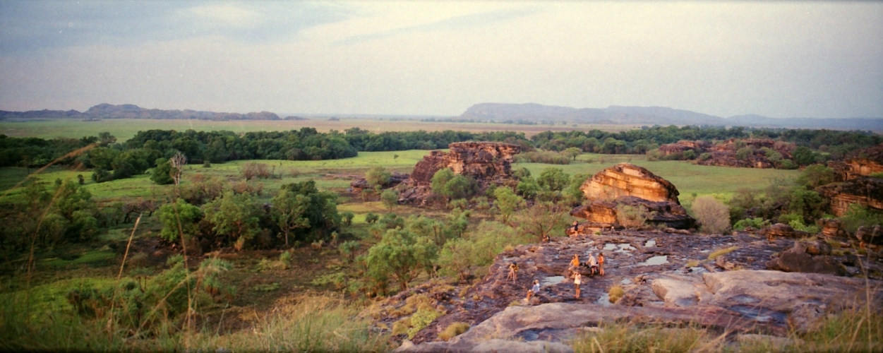 AU110-29pan.jpg