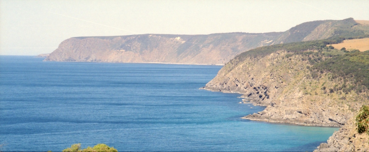 AU121-19pan.jpg