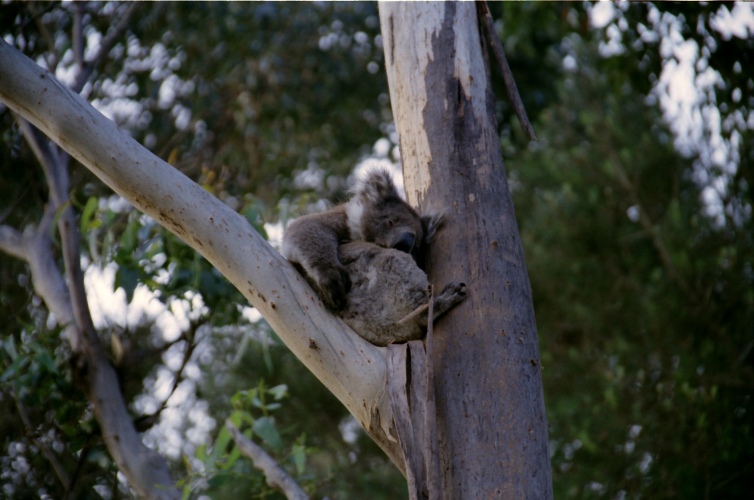 AU121-32.jpg