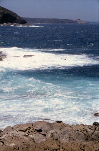 AU122-08r.jpg