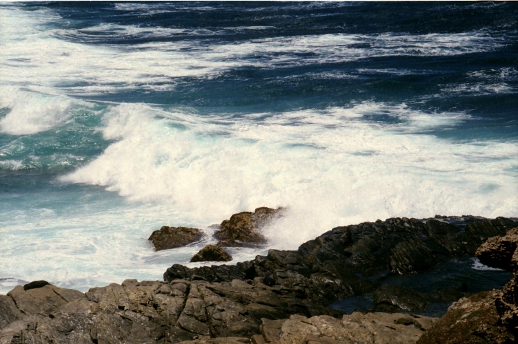 AU122-11.jpg