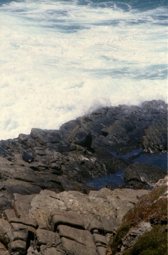 AU122-14r.jpg
