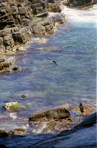 AU123-35r.jpg